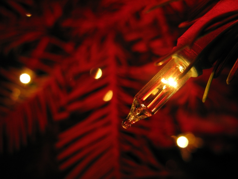 Illustration for article titled Photo Contest: Christmas Lights